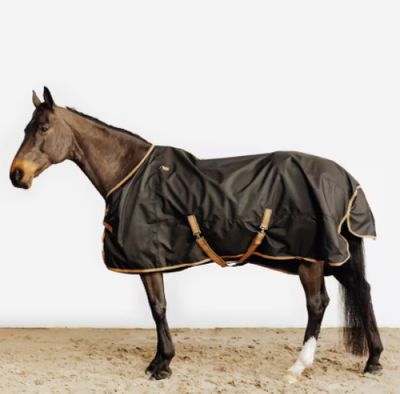 a horse that is standing in the sand with a blanket on