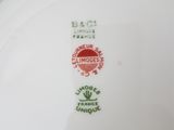 une assiette blanche ornée d'un motif rouge et vert