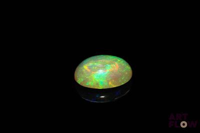 an oplite in the dark with a black background