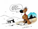 Photo 2/2 du lot