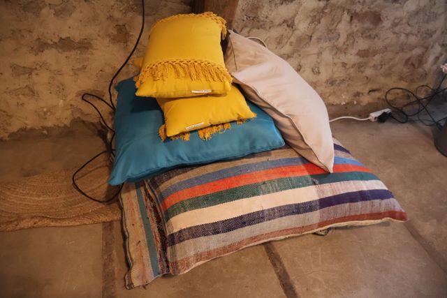 10 coussins dont deux importants