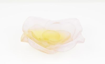 a white flower with yellow center on a white surface