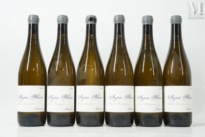 six bouteilles de vin sont alignées sur une table