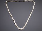 a white pearl necklace with a silver clasp on a gray background
