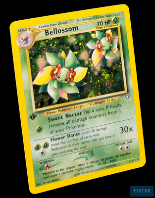 une carte Pokémon sur laquelle figurent deux fleurs