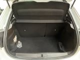 a trunk of a car with its doors open