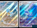 deux cartes Pokémon présentant des illustrations différentes