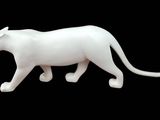 a white cat that is walking on a black background