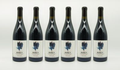 six bouteilles de vin sont alignées sur une surface blanche