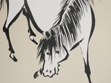 a drawing of a horse that is standing on its hind legs
