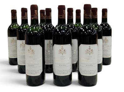 six bouteilles de vin sont alignées sur une surface blanche