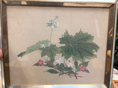 la photo d'une plante dans un cadre