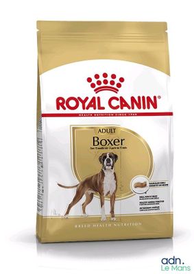 royal canin boxer adult dry dog food