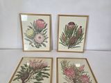 trois photos encadrées représentant des fleurs roses sur un fond blanc