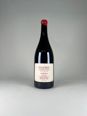 la bouteille de vin rouge est posée sur la table