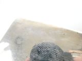 a small bird that is sitting in a glass container