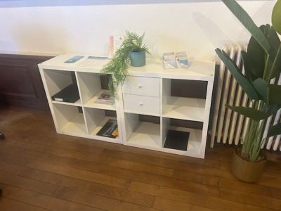 a plant that is sitting on a shelf next to a radiator
