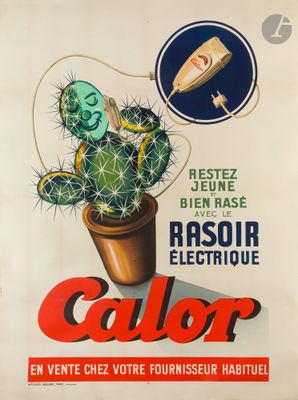 une photo d'une affiche représentant un cactus en pot posé sur une table