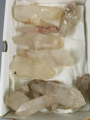 une boîte contenant du poisson cru, posée sur une table