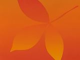 une peinture orange et jaune représentant une feuille sur fond rouge