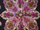 a close up of a colorful floral design on a black background