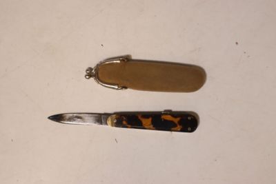 deux types de couteaux différents sur une surface blanche