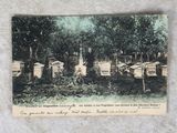 une vieille photo montrant un groupe de ruches dans un champ
