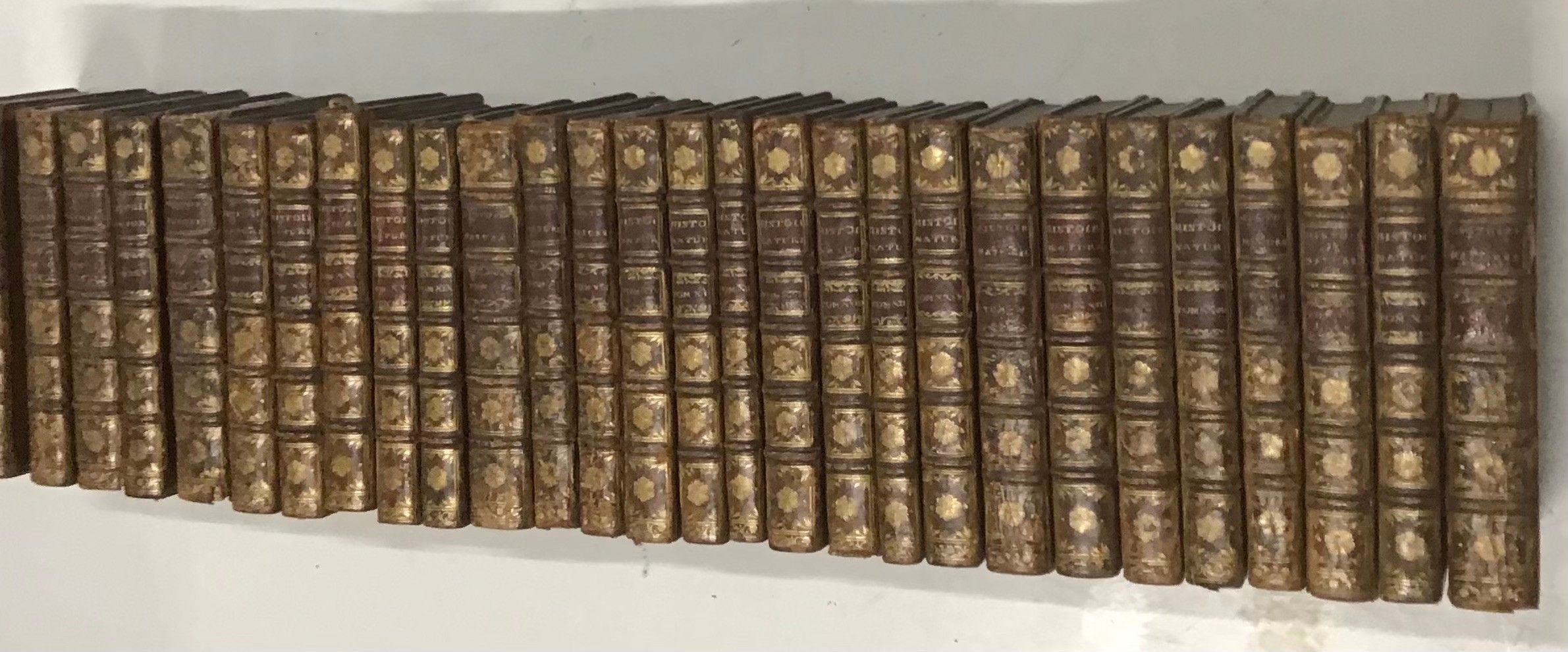 Buffon Histoire Naturelle Générale et Particulière 1752 - 28 Volumes
