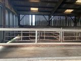 une grange dans laquelle se trouvent de nombreux bovins