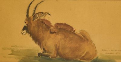 une image représentant un tableau où l'on voit une chèvre couchée par terre
