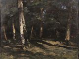 tableau représentant une zone boisée avec des arbres et le soleil qui brille sur le sol