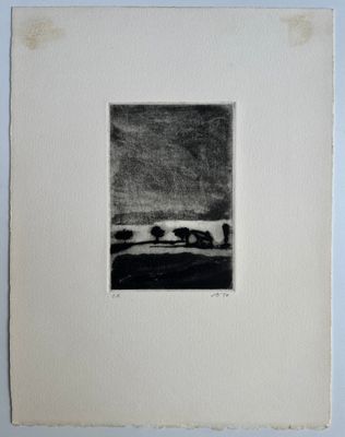 an image of a black and white drawing of a landscape