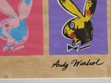 a picture of a picture of a bunny and a rabbit