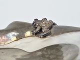 a silver plate with a frog sitting on top of it