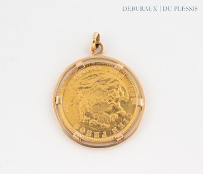 an image of a close up of a gold coin on a white surface