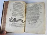 someone is holding an open book with a drawing of a snake on it