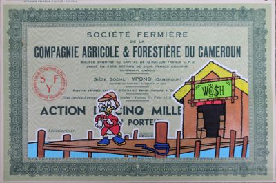 une image représentant un certificat sur lequel figure la photo d'un homme sur un quai