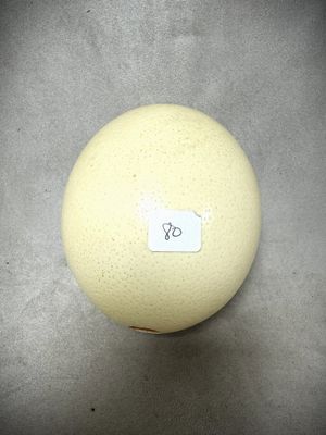 une balle jaune avec un autocollant dessus, posée sur une table