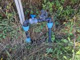un tuyau bleu relié à un poteau dans l'herbe