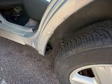 a cat that is sitting in the door of a car