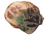 a frog that is sitting in a shell on a white background