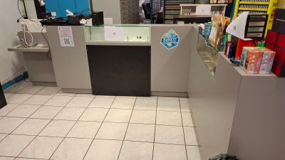 a dog that is laying on the floor in a store