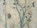 an image of a painting of a plant with leaves and flowers
