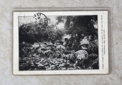une image représentant une photo en noir et blanc d'un homme et d'un chien