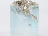 a piece of ice that has a plant growing out of it
