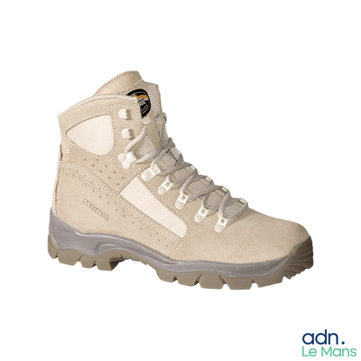 une photo d'une paire de chaussures de randonnée sur fond blanc