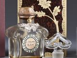 a bottle of perfume sitting next to a box of perfumes