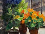 deux pots de fleurs posés sur une table près d'une fenêtre