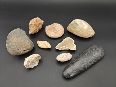 quelques rochers et un objet en pierre posés sur une surface noire