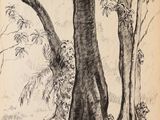 un dessin représentant un arbre sur lequel est perché un oiseau